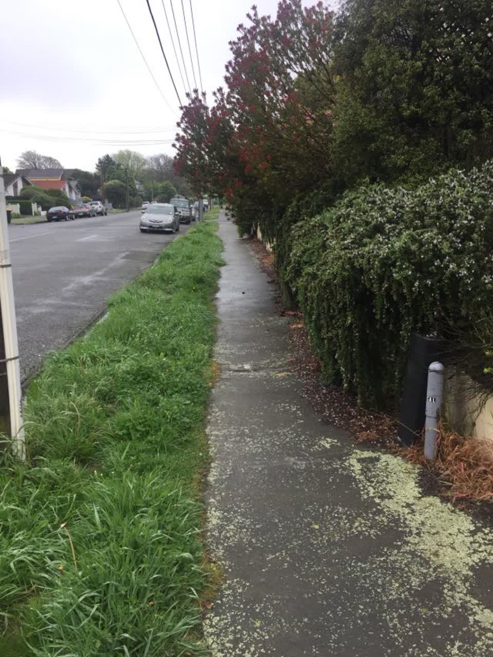 The photograph attached to this roading/streets report