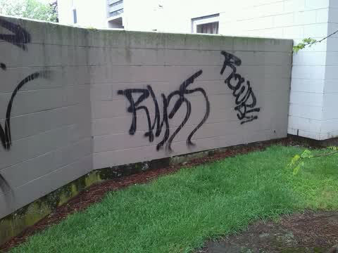 Graffiti, a report photo
