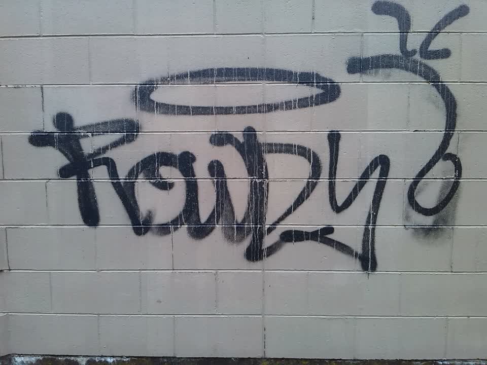 The photograph attached to this graffiti report