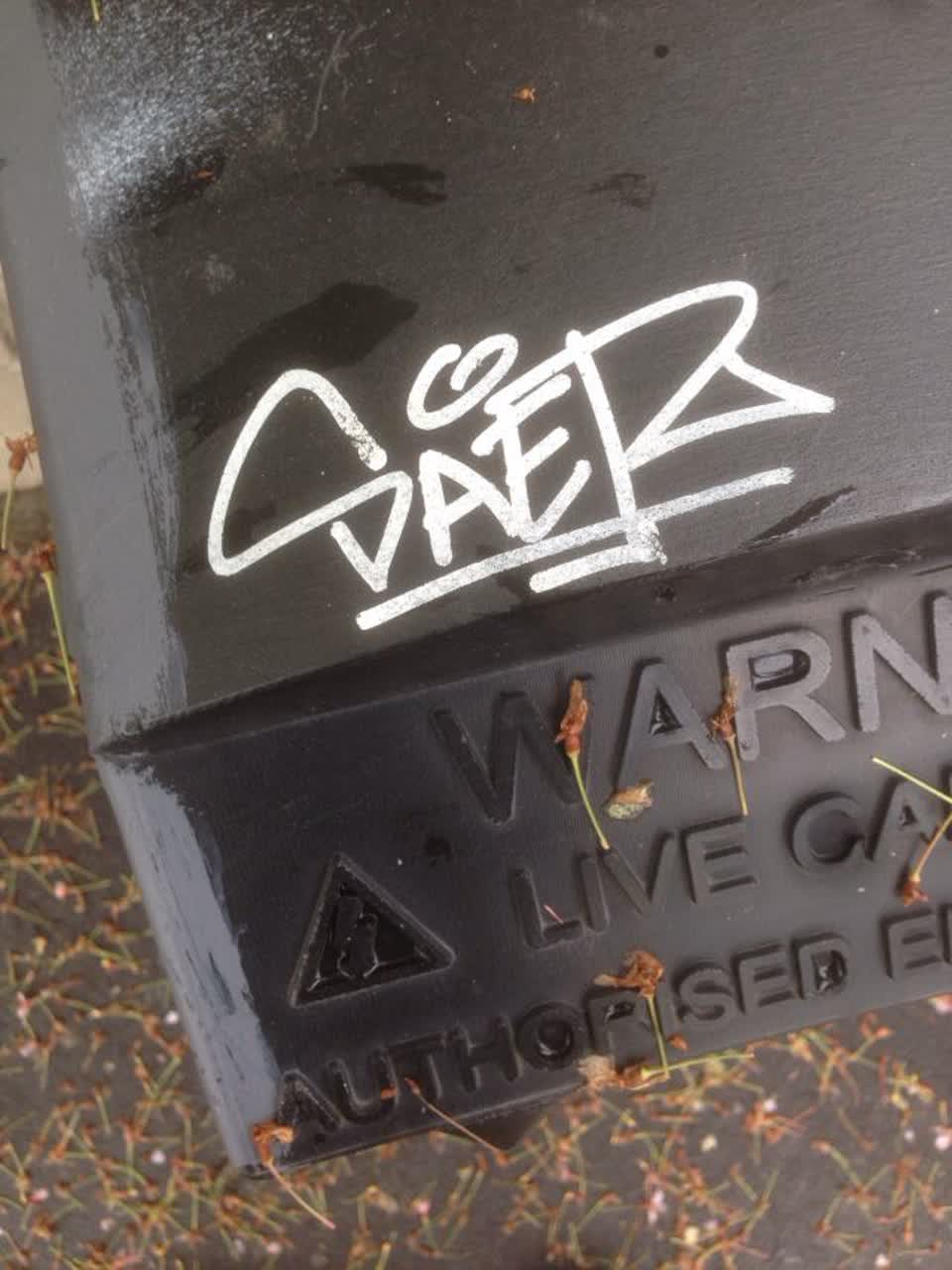The photograph attached to this graffiti report