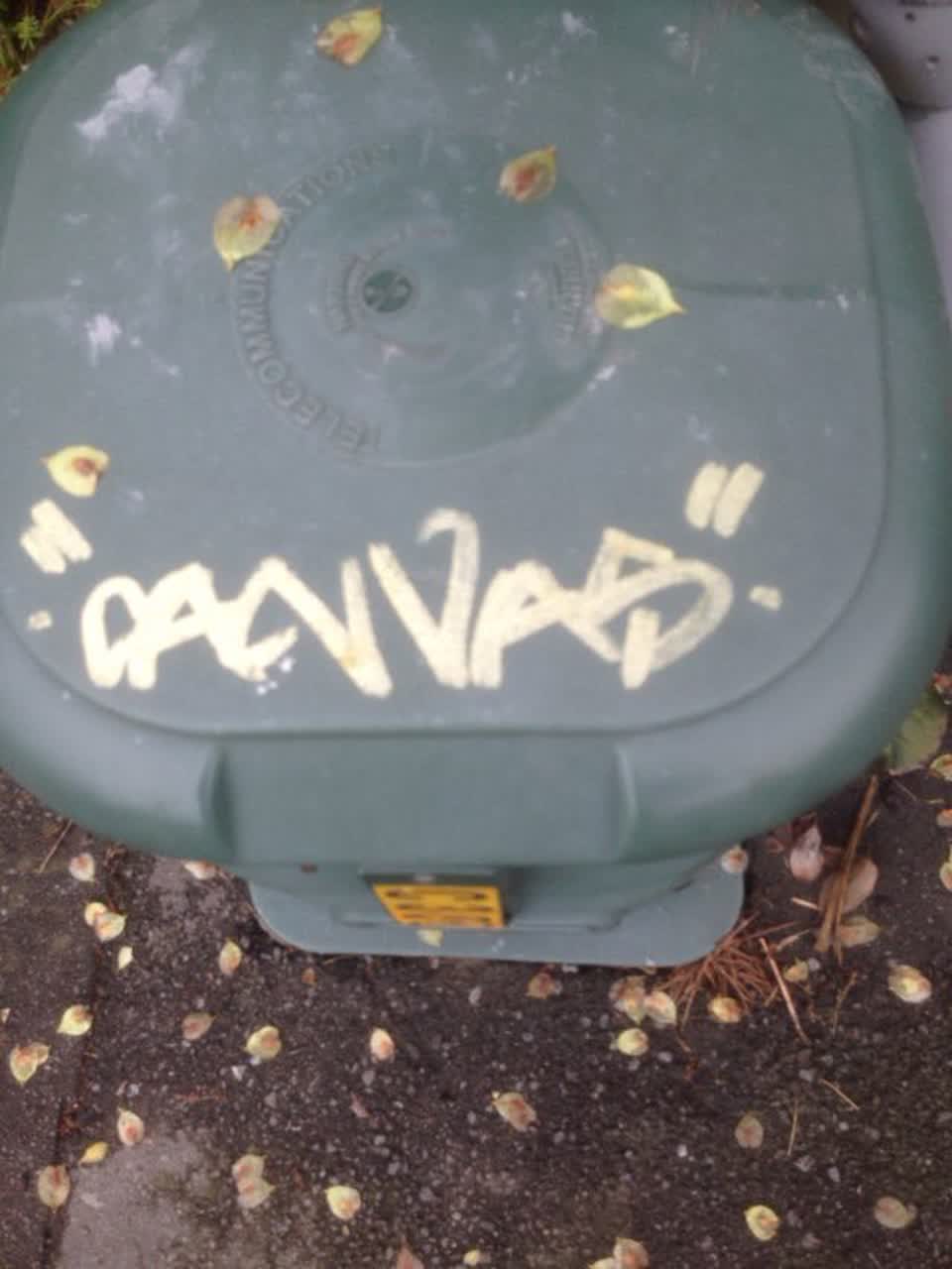 The photograph attached to this graffiti report