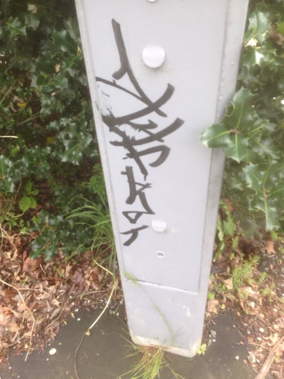 The photograph attached to this graffiti report