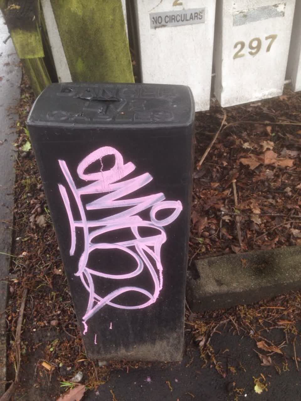 The photograph attached to this graffiti report