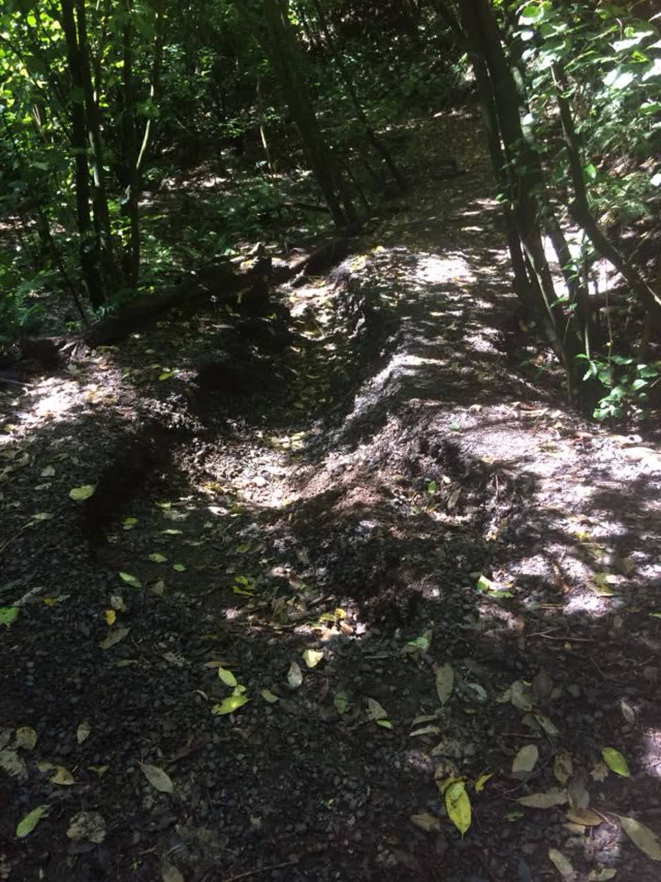 The photograph attached to this parks report