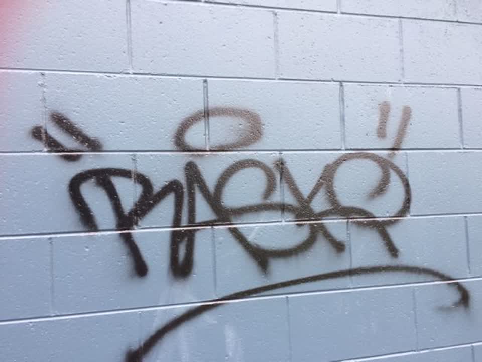 The photograph attached to this graffiti report