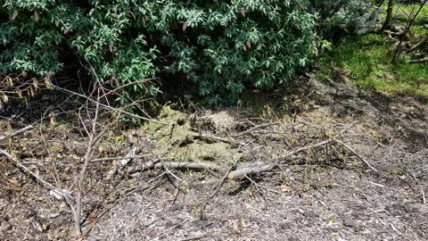 Roading/Streets, a report photo