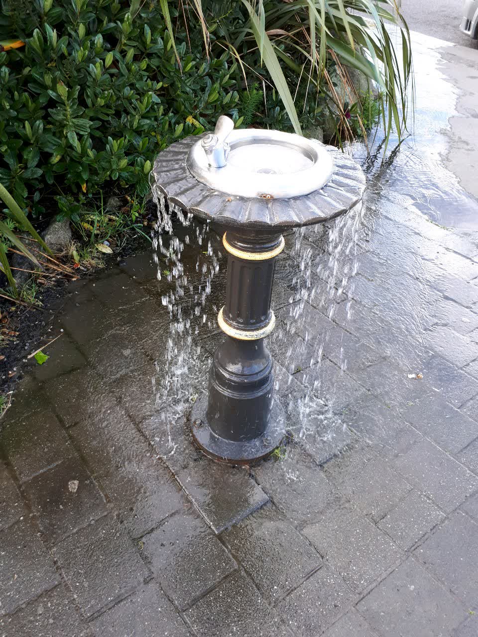 The photograph attached to this water supply report