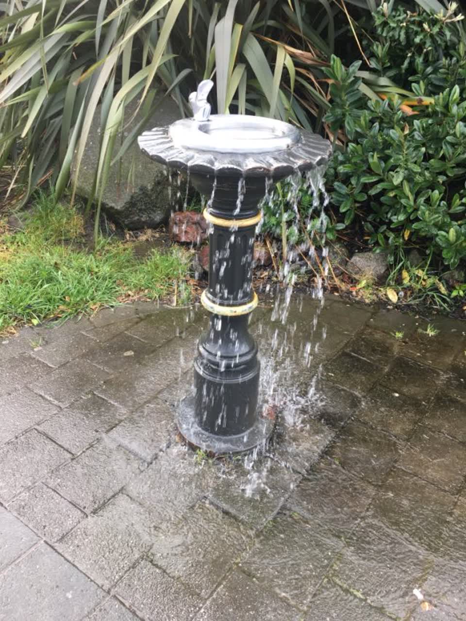 The photograph attached to this water supply report