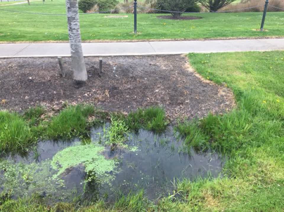 The photograph attached to this wastewater/stormwater report