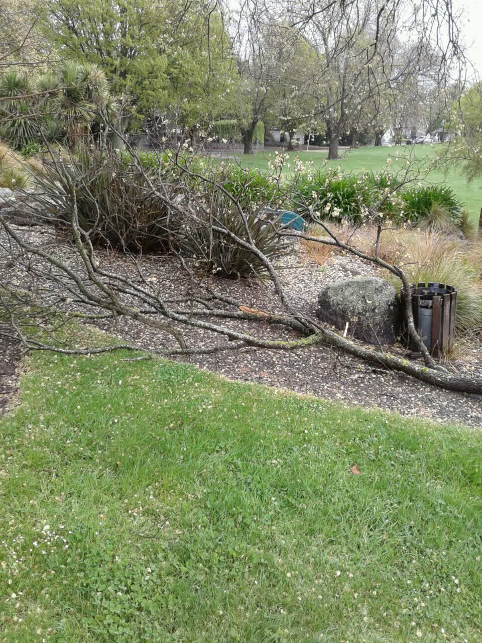 The photograph attached to this parks report