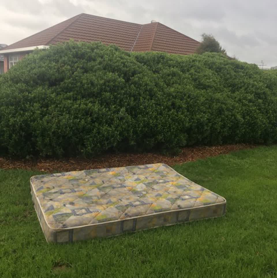 The photograph attached to this parks report