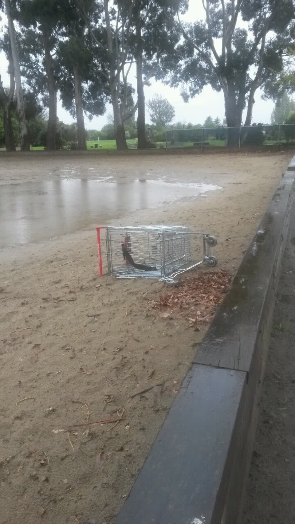 The photograph attached to this parks report