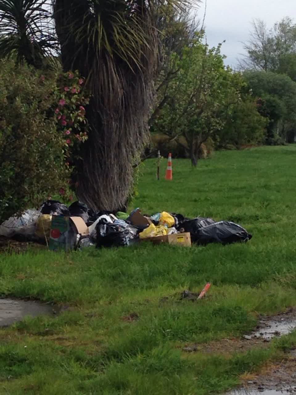 The photograph attached to this rubbish/recycling report