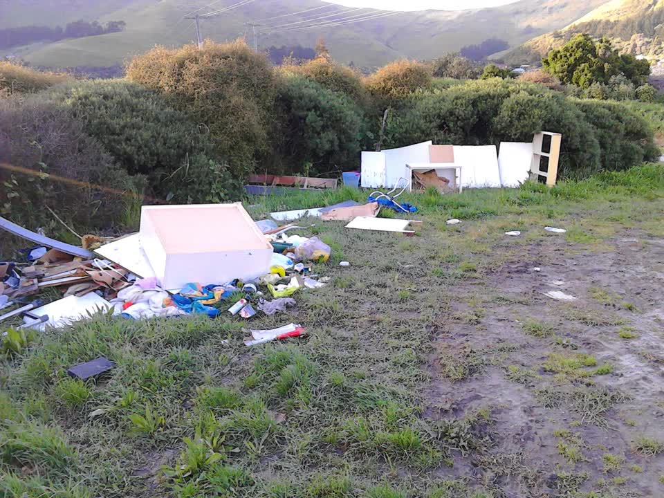 The photograph attached to this rubbish/recycling report
