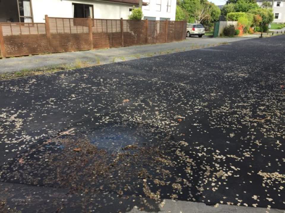 The photograph attached to this water supply report