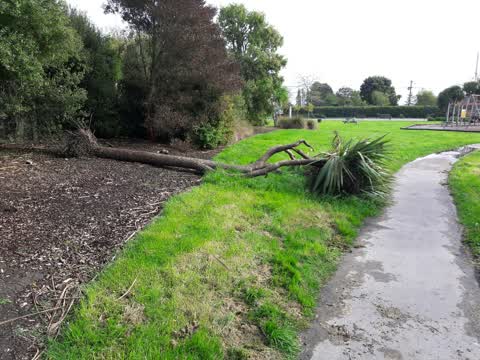 Parks, a report photo