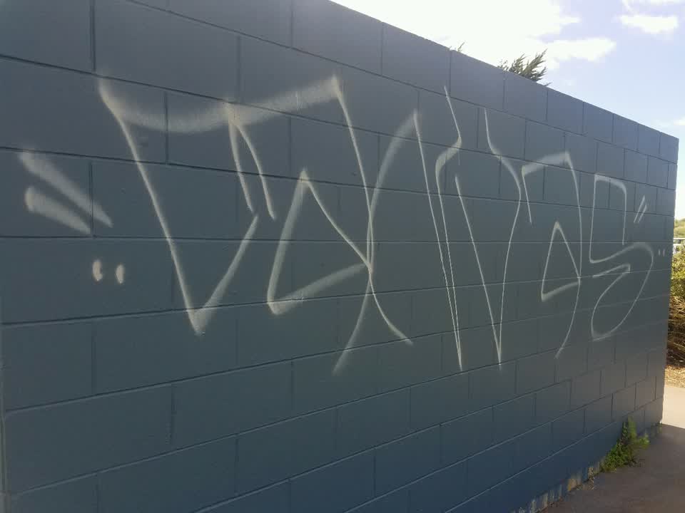 The photograph attached to this graffiti report