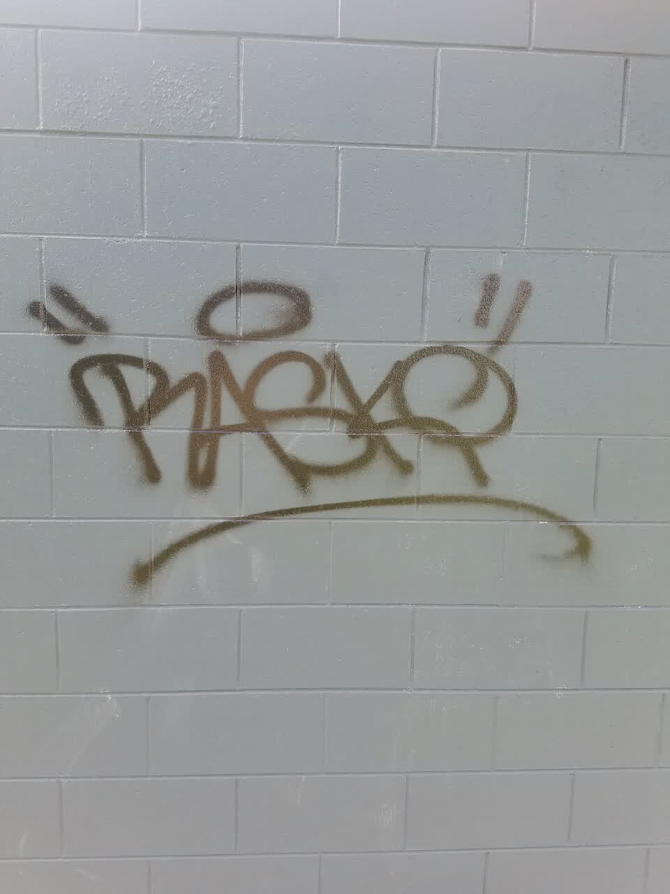 The photograph attached to this graffiti report