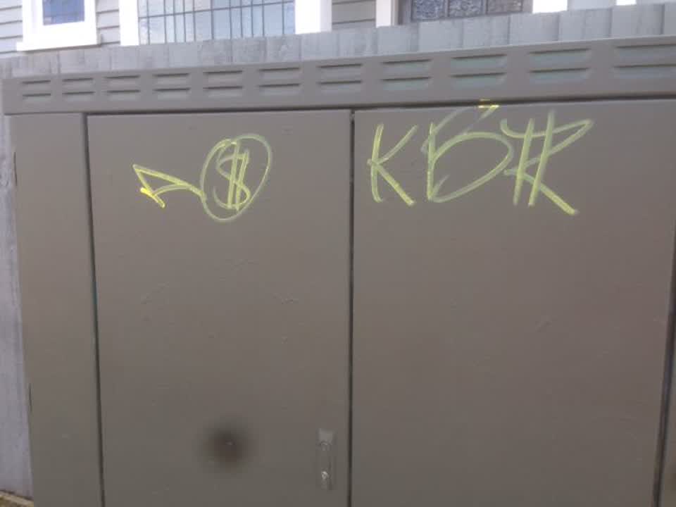 The photograph attached to this graffiti report
