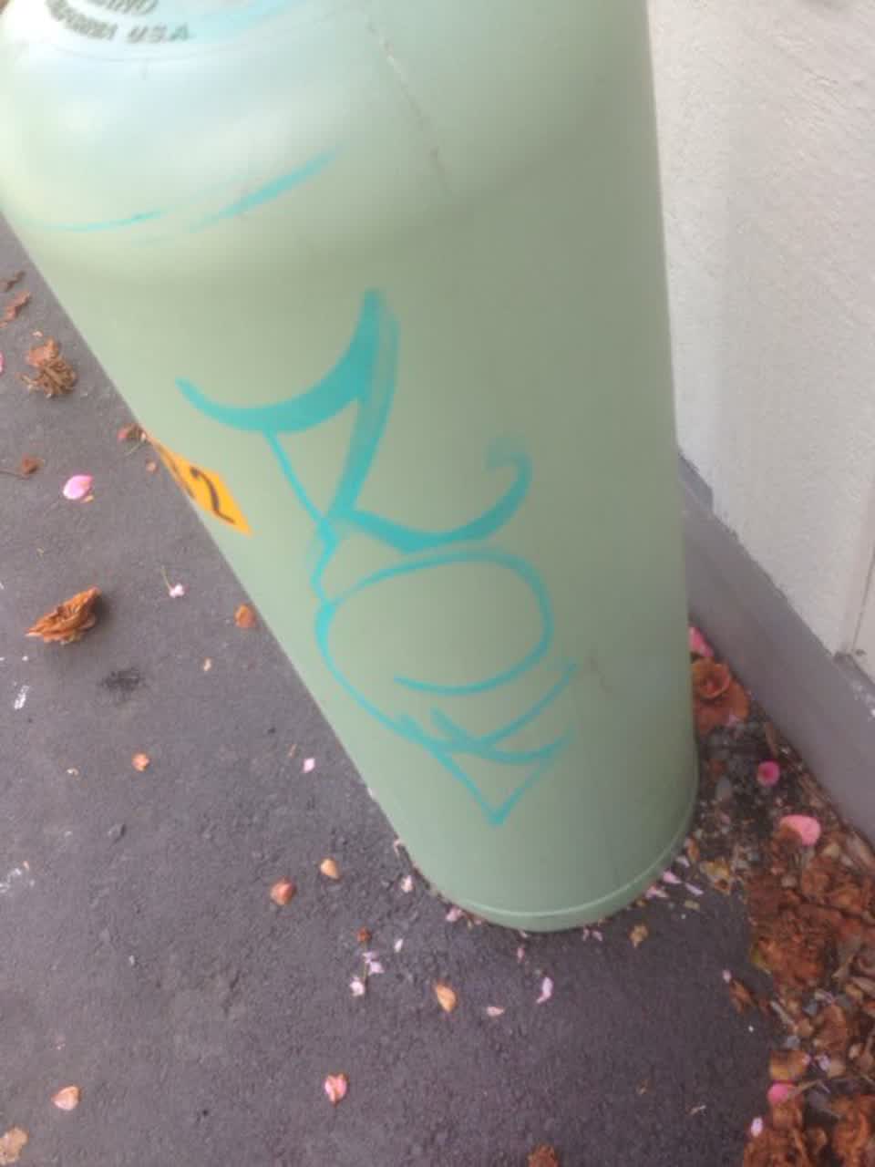 The photograph attached to this graffiti report