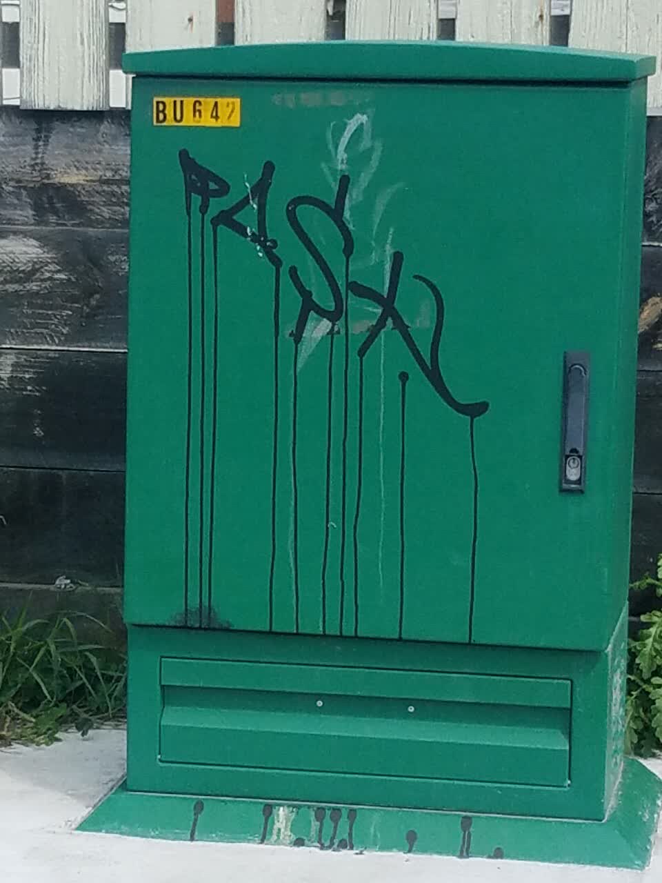 The photograph attached to this graffiti report