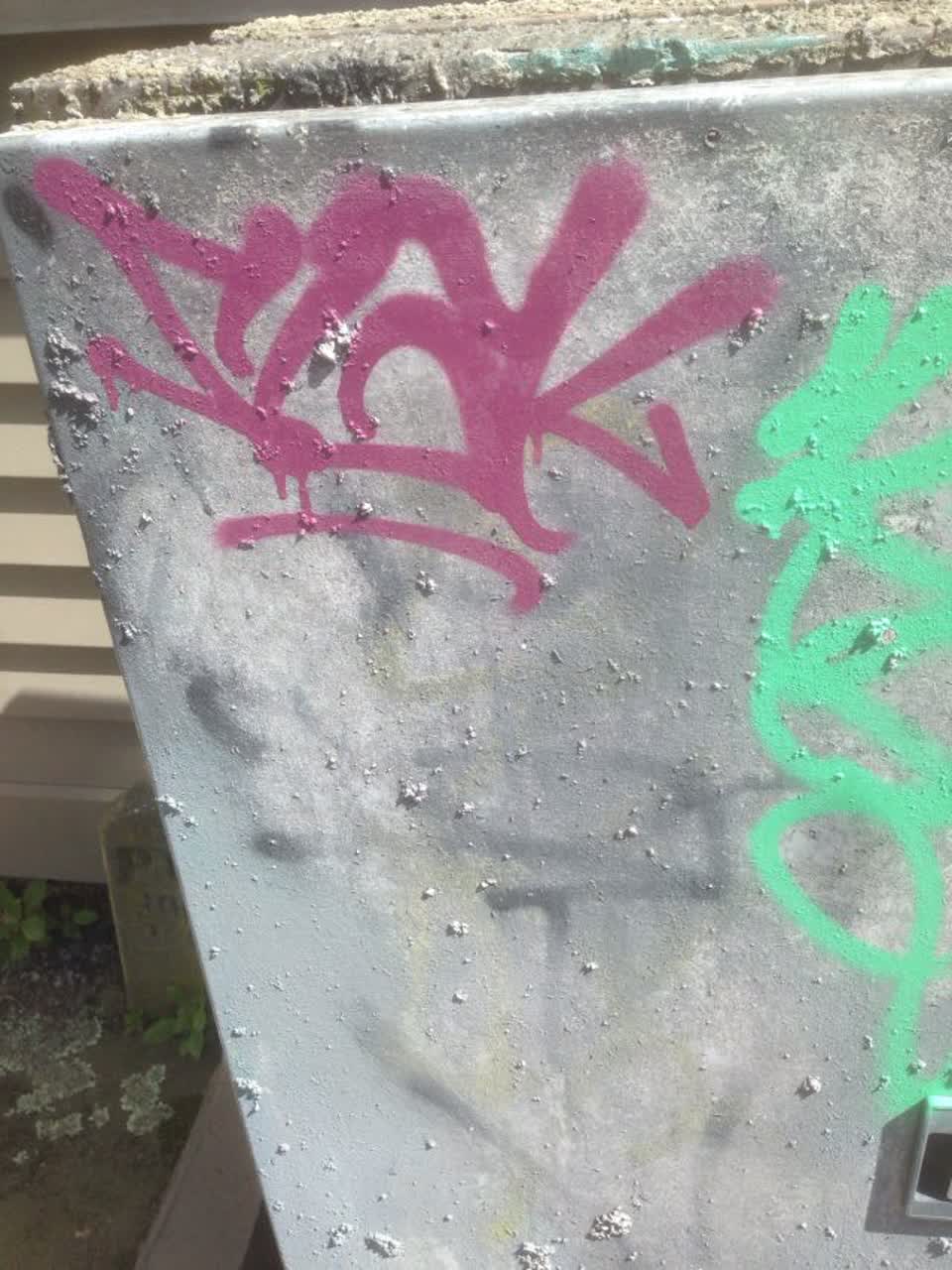 The photograph attached to this graffiti report