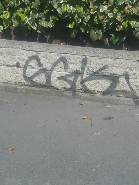 Graffiti, a report photo