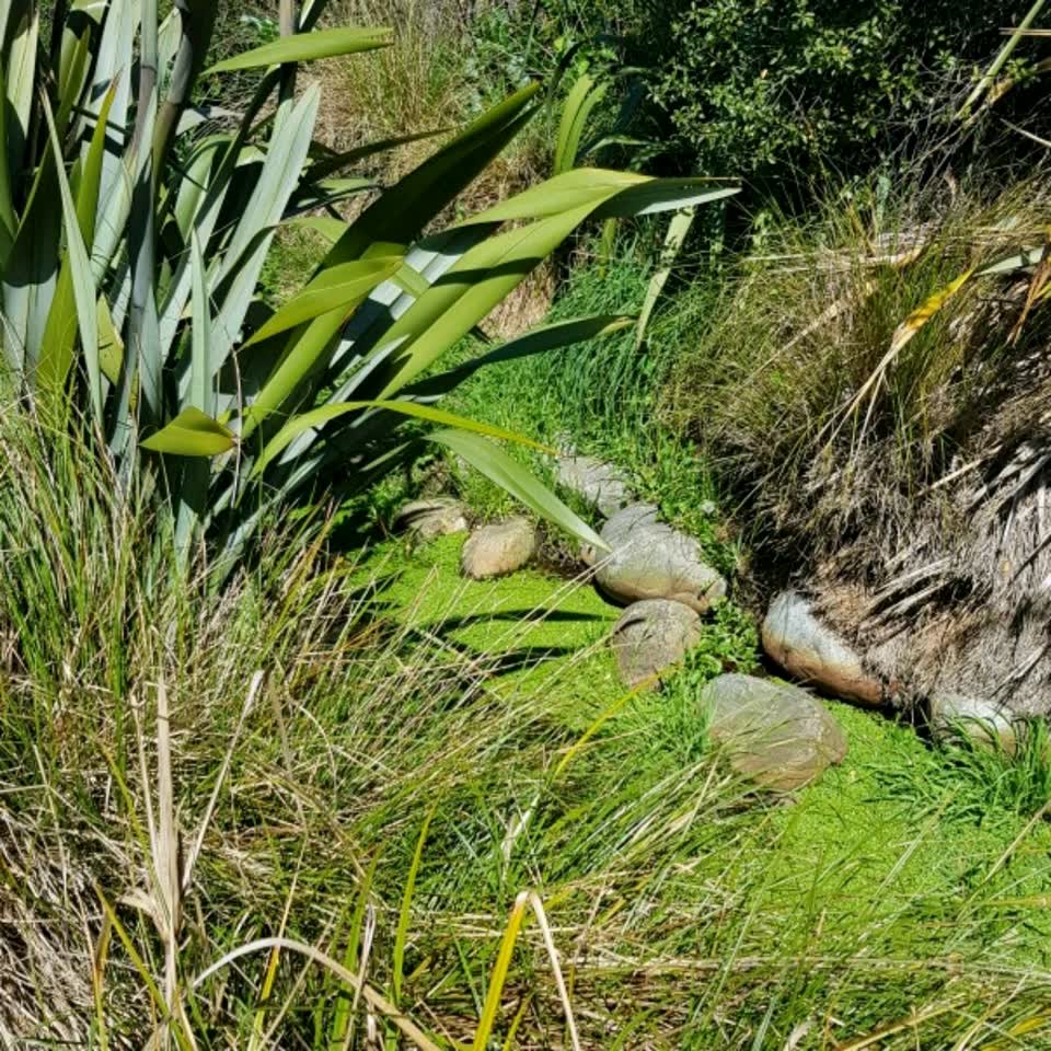 The photograph attached to this wastewater/stormwater report