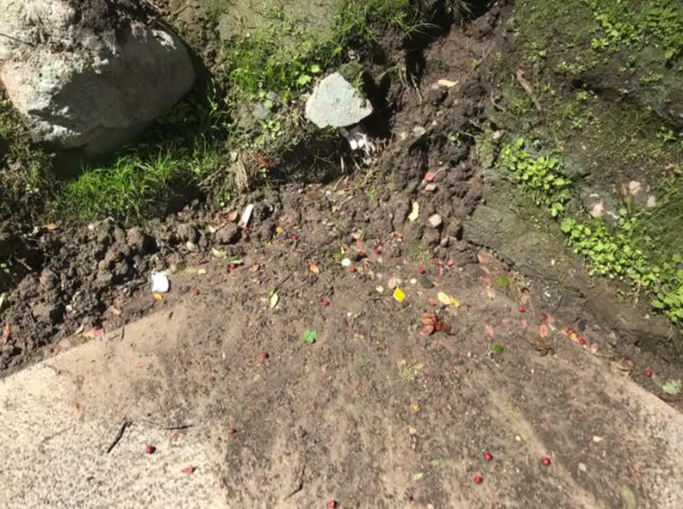 The photograph attached to this roading/streets report