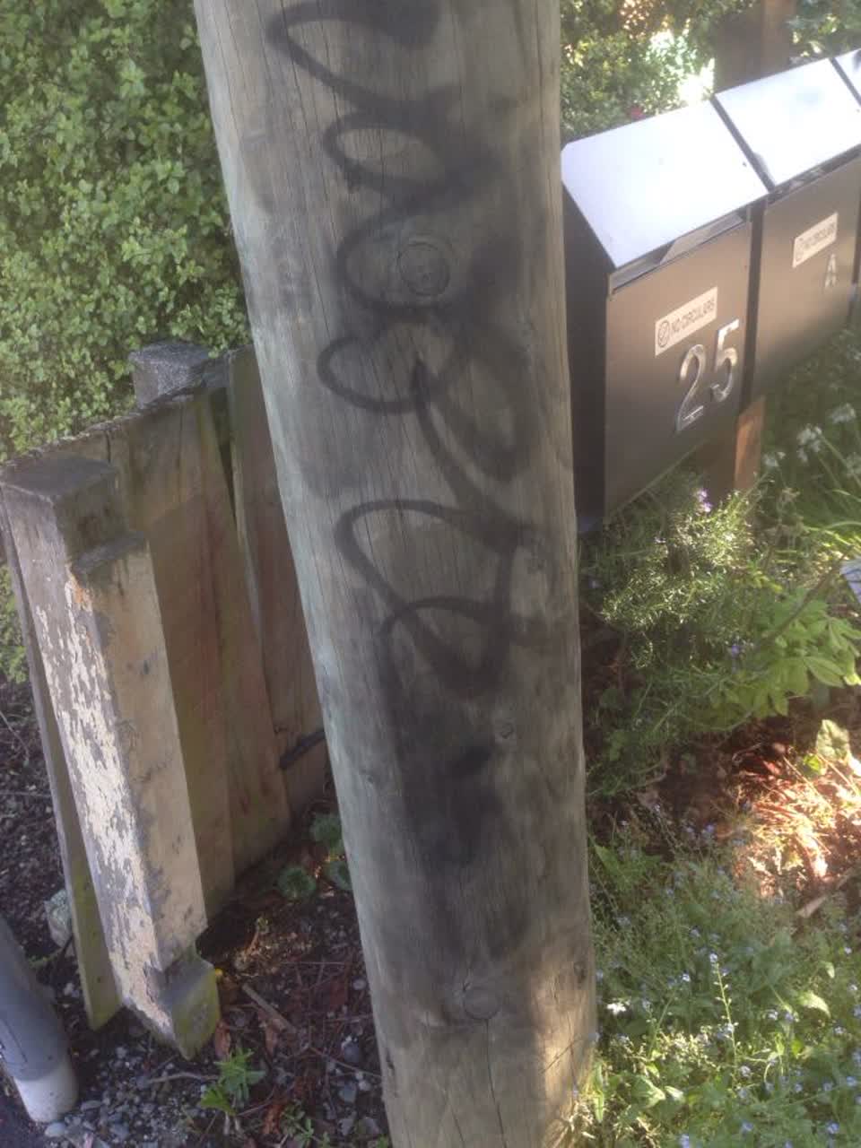The photograph attached to this graffiti report