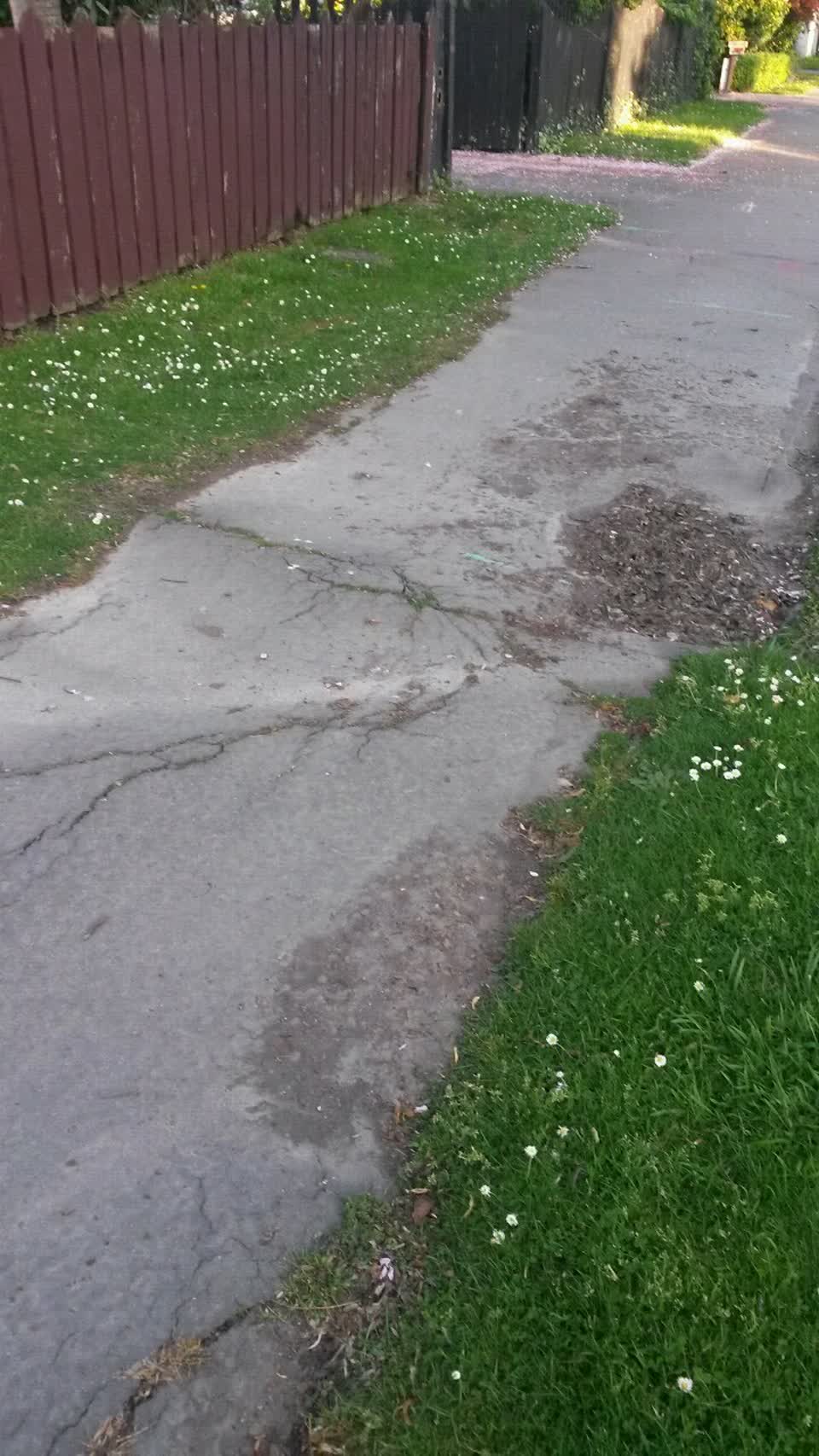 The photograph attached to this roading/streets report