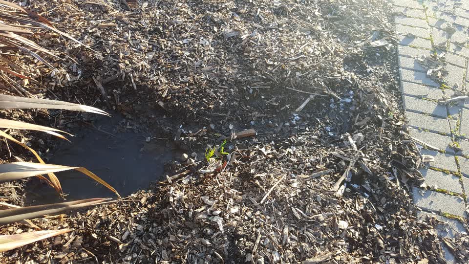 The photograph attached to this water supply report