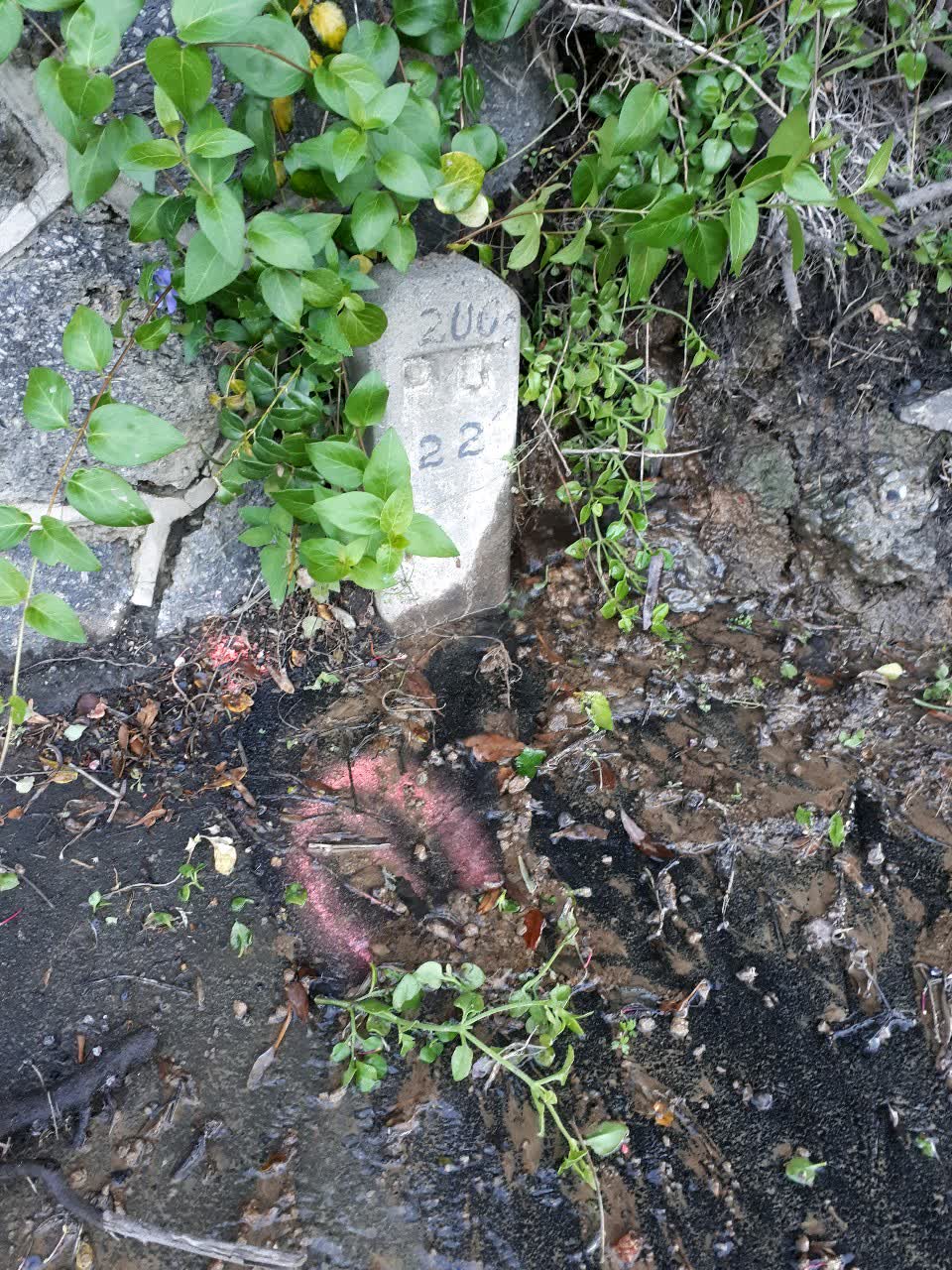 The photograph attached to this water supply report