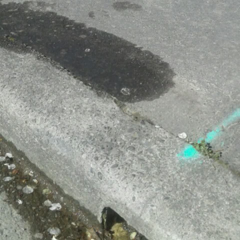 The photograph attached to this wastewater/stormwater report