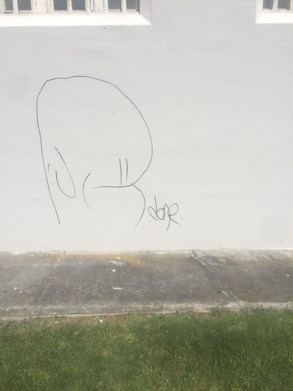 The photograph attached to this graffiti report