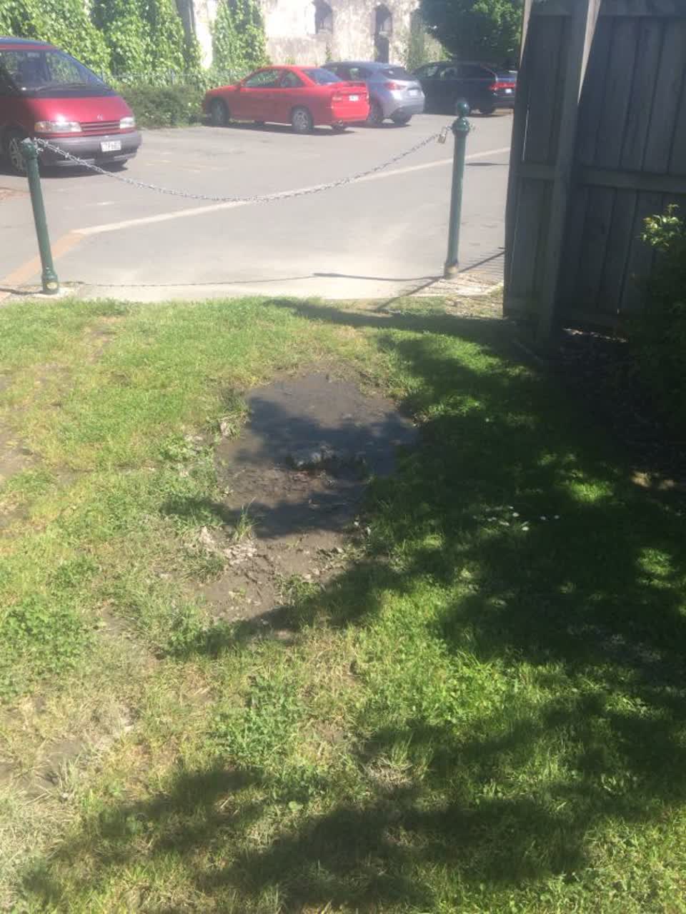 The photograph attached to this parks report