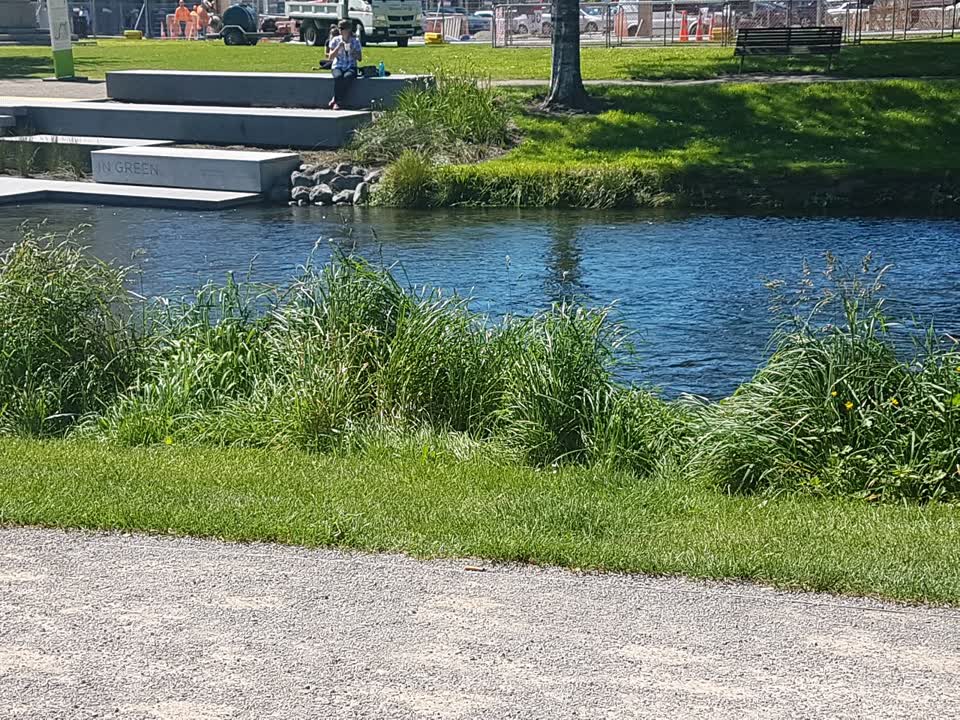 The photograph attached to this parks report