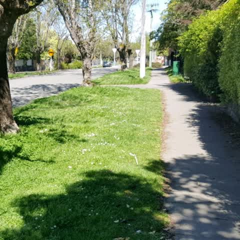 Parks, a report photo