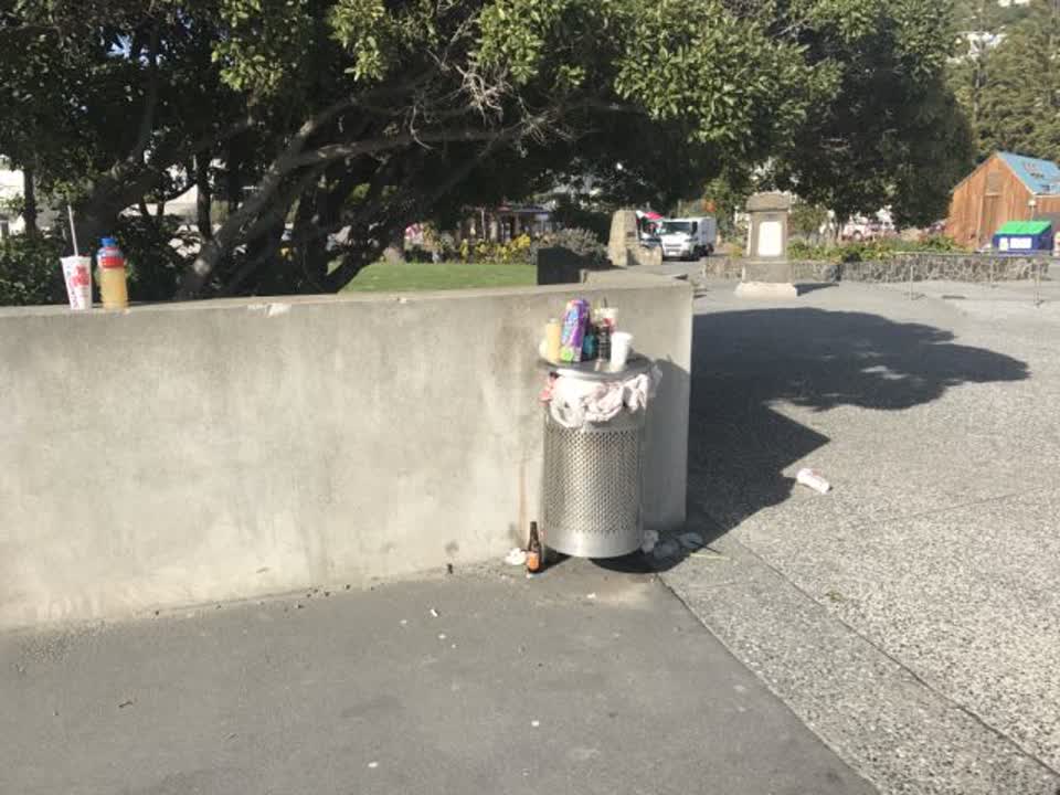 The photograph attached to this rubbish/recycling report
