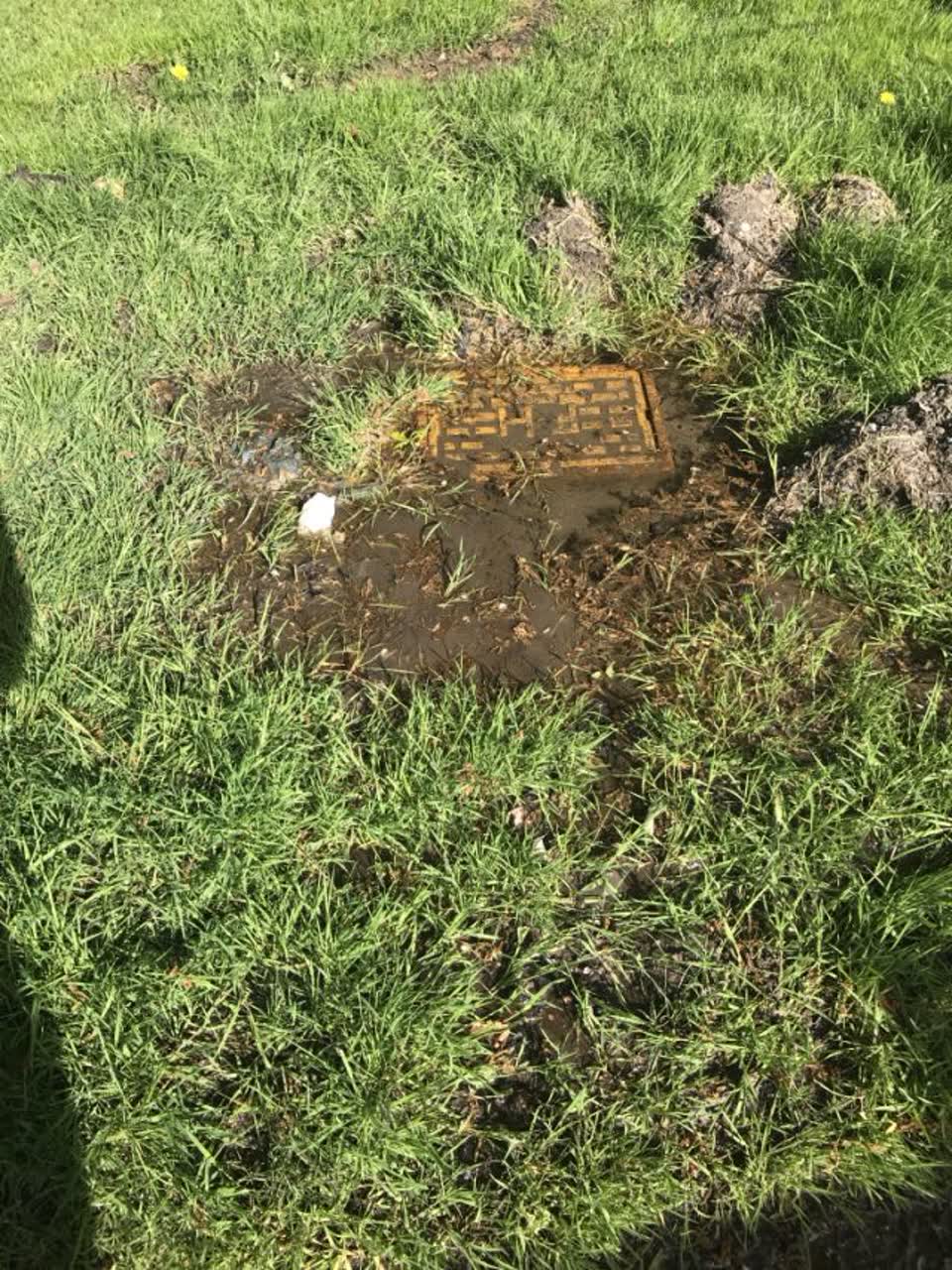 The photograph attached to this water supply report