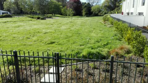 Parks, a report photo