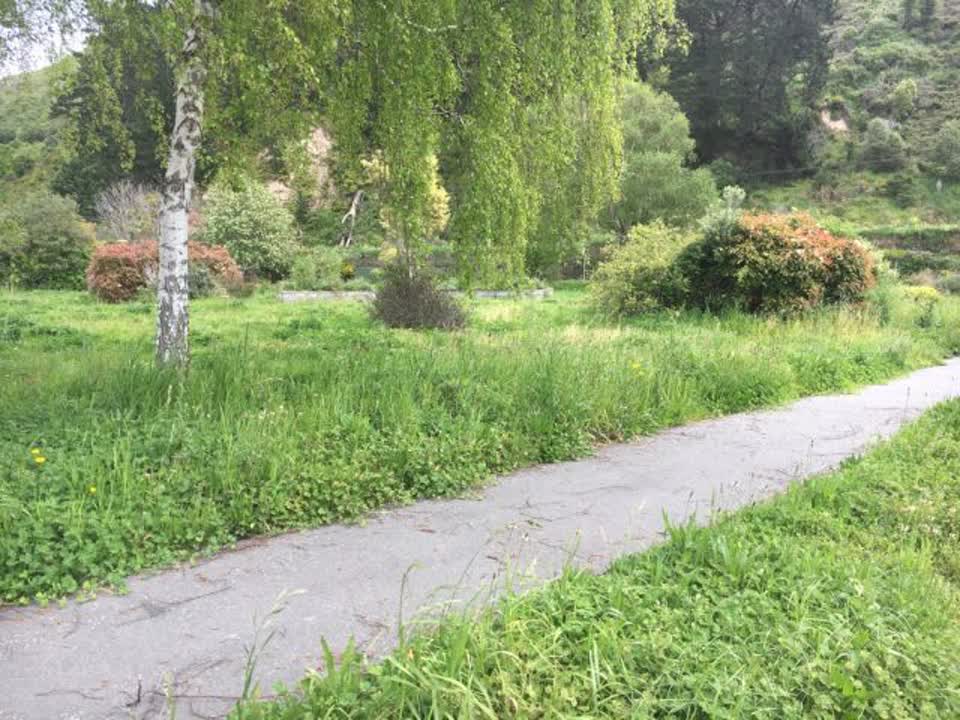 The photograph attached to this parks report
