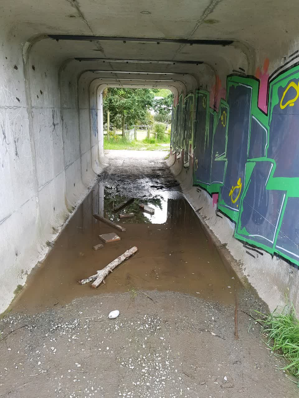 The photograph attached to this parks report