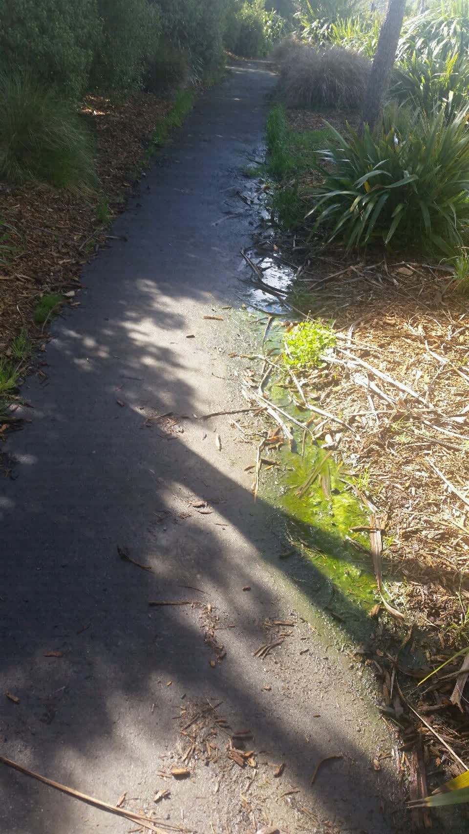 The photograph attached to this wastewater/stormwater report