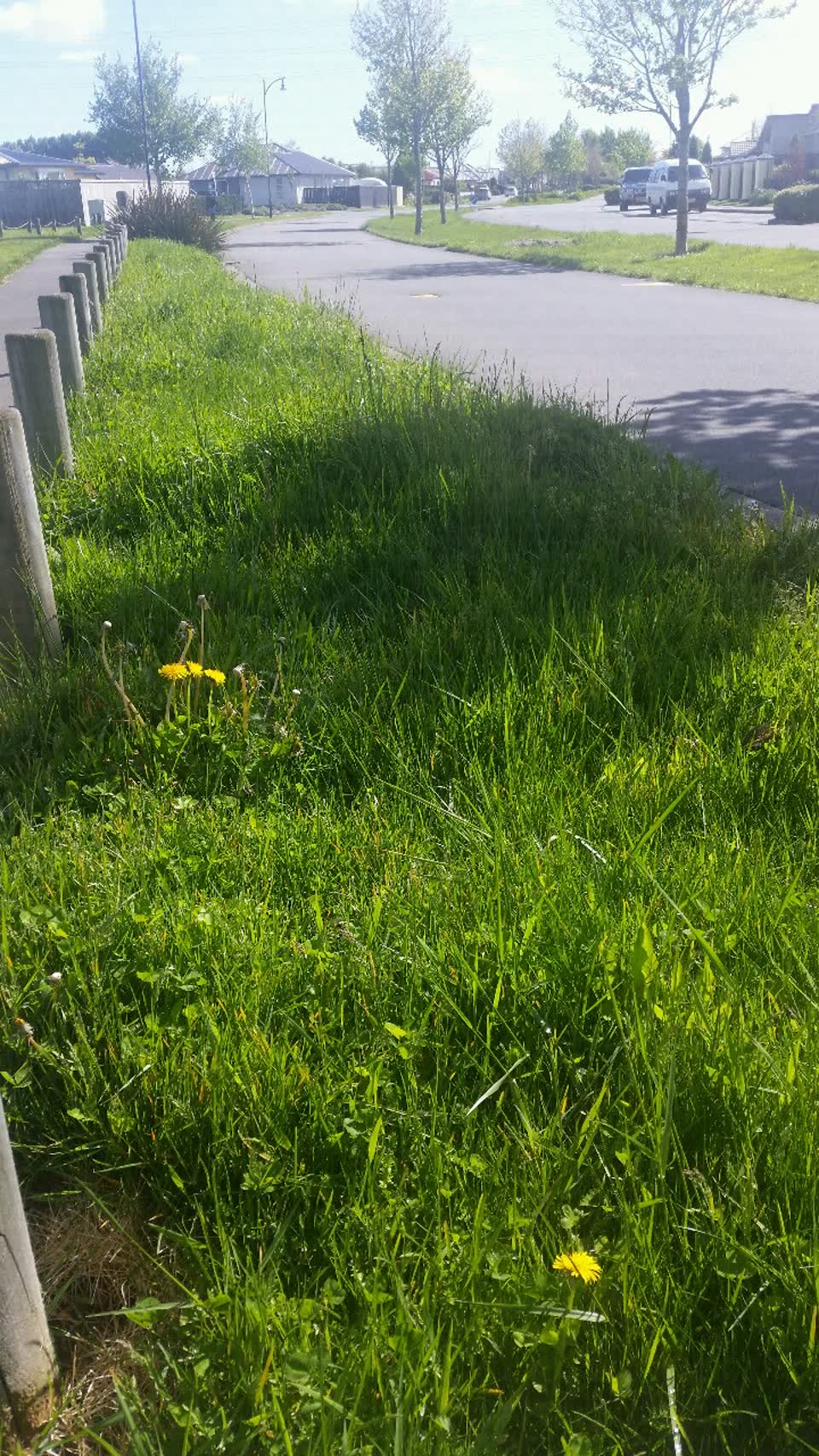 The photograph attached to this parks report