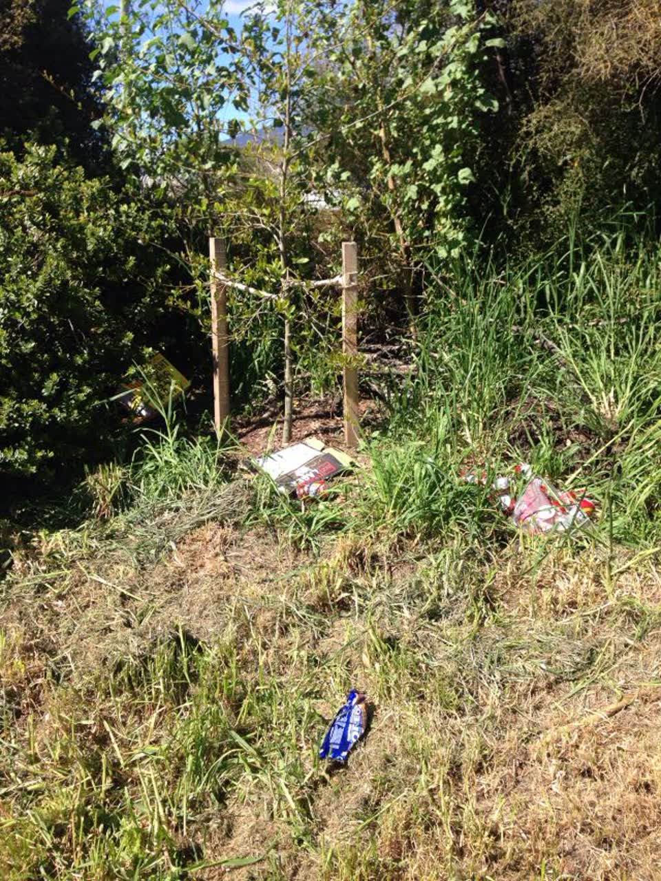 The photograph attached to this rubbish/recycling report