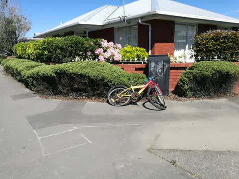 Rubbish/Recycling, a report photo