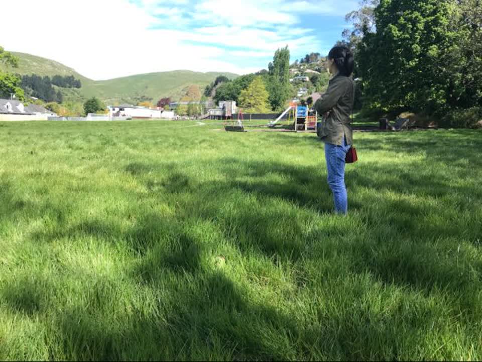 The photograph attached to this parks report
