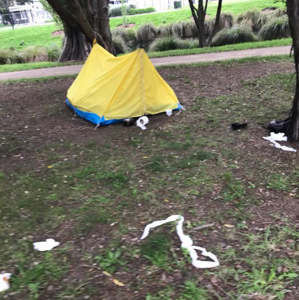 The photograph attached to this parks report
