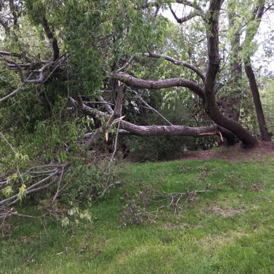 The photograph attached to this parks report